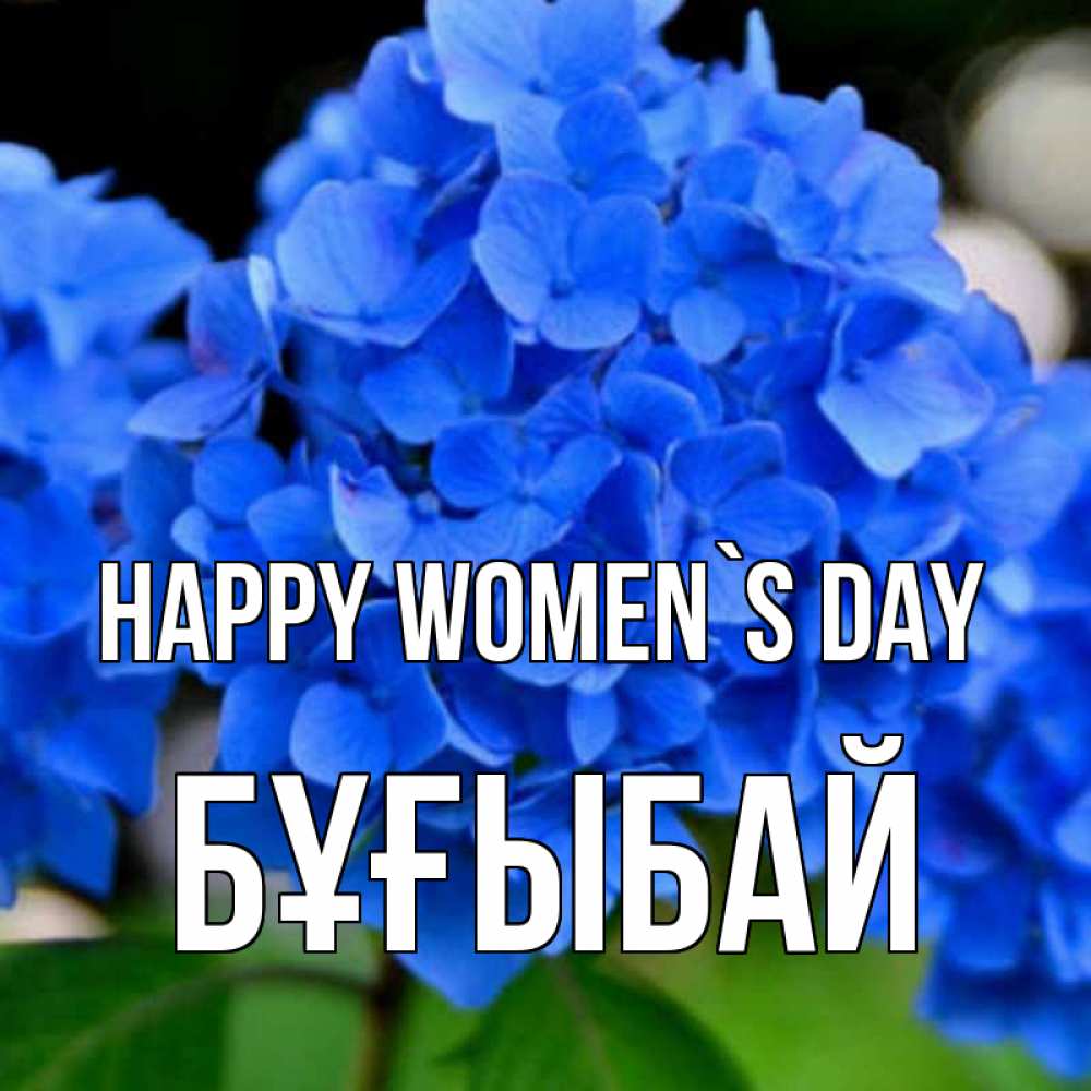 Greetings card с именем, Бұғыбай happy women`s day синие цветы Greetings with text for free download 